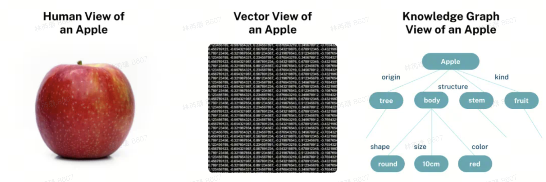 Apple 的三种表示